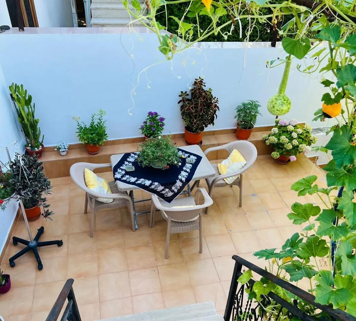 Apartment Valmira B&B - Town Center Berat