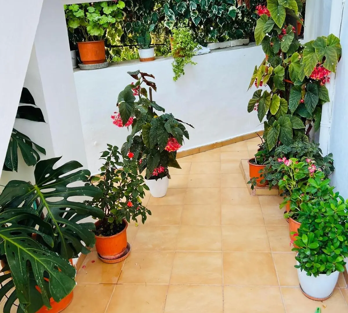 Apartment Valmira B&B - Town Center Berat